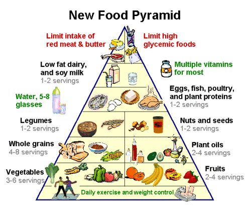 usda food pyramid 2011. New Food Pyramid
