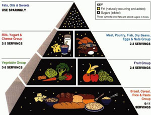 Old Food Pyramid